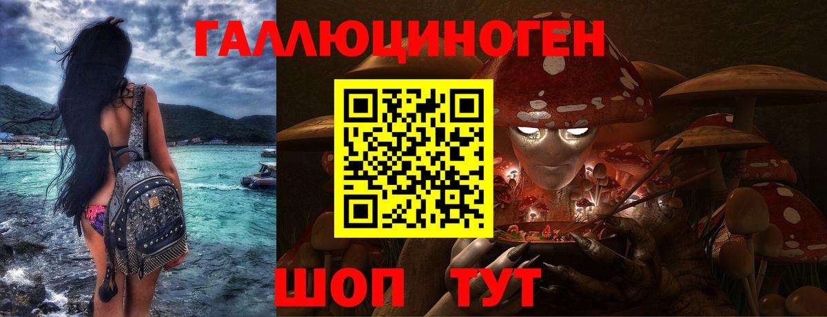 Галлюциногенные грибы Psilocybine cubensis Чехов
